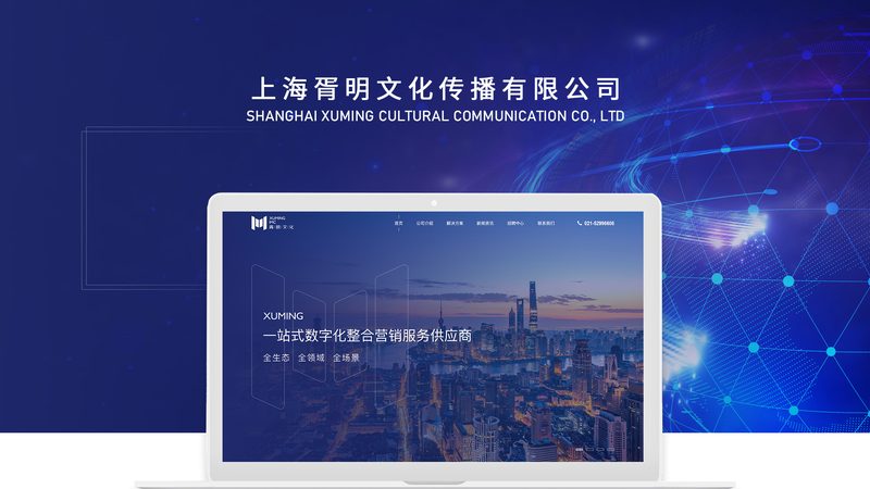 上海门户网站建设：揭秘厂家直销的奥秘
