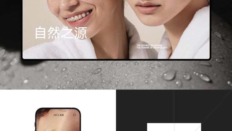 政府门户网站系统源码：揭秘其核心价值与应用场景